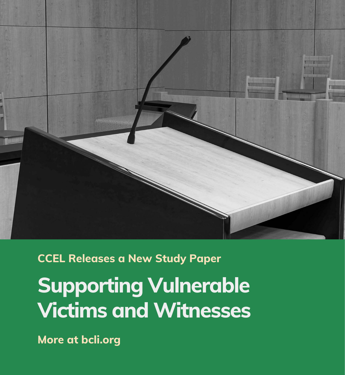 Supporting Vulnerable Victims and Witnesses Study Paper